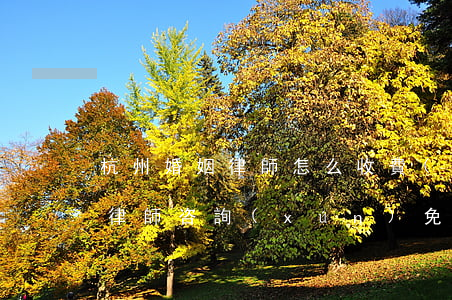杭州婚姻律師怎么收費(fèi)(杭州離婚律師咨詢(xún)免費(fèi))