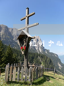 杭州少儿医保逾期缴费