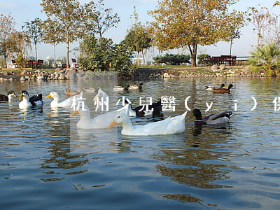 杭州少兒醫(yī)保逾期繳費(fèi)