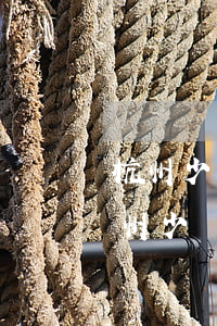 杭州少兒醫(yī)保逾期續(xù)保(杭州少兒醫(yī)保補繳后多久可以使用)