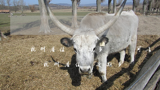 杭州居住證逾期多長時間可以續(xù)期-杭州居住證逾期多長時間可以續(xù)期啊