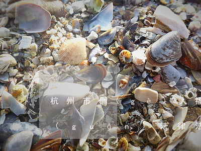 杭州市個(gè)人福利費(fèi)相關(guān)法律法規(guī)(有關(guān)法律規(guī)定的福利費(fèi))