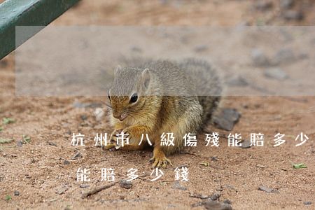杭州市八級傷殘能賠多少錢(杭州市八級傷殘能賠多少錢)