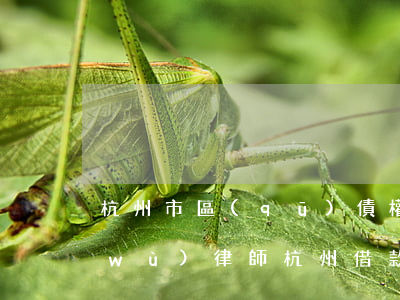 杭州市區(qū)債權(quán)債務(wù)律師(杭州借款糾紛律師)