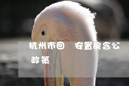 杭州市回遷安置房含公攤面積嗎(杭州市拆遷政策)
