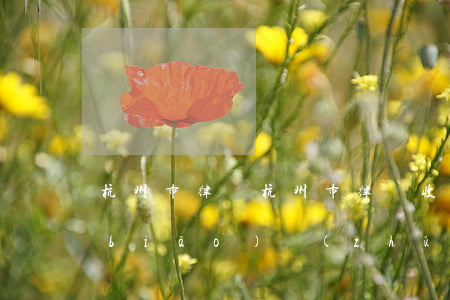 杭州市律師(杭州市律師收費(fèi)標(biāo)準(zhǔn)和方式)