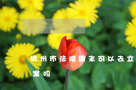 杭州市法院周末可以去立案吗(法院周末能立案吗)