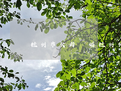 杭州市父母離婚(杭州父母離婚算一表嗎)