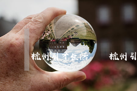 杭州引才生活補貼(杭州引才生活補貼)