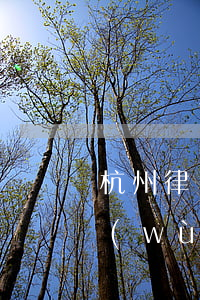 杭州律師事務(wù)所招聘(杭州律師事務(wù)所招聘信息)