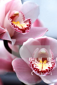 杭州律師事務(wù)所收費(fèi)標(biāo)準(zhǔn)(杭州民事訴訟律師費(fèi)用收取標(biāo)準(zhǔn))
