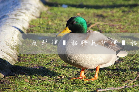杭州律師招聘(杭州律師招聘)