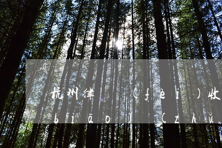 杭州律師費(fèi)收費(fèi)標(biāo)準(zhǔn)（杭州欠錢律師起訴費(fèi)用）