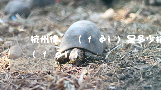 杭州律師費(fèi)是多少(杭州律師收費(fèi))