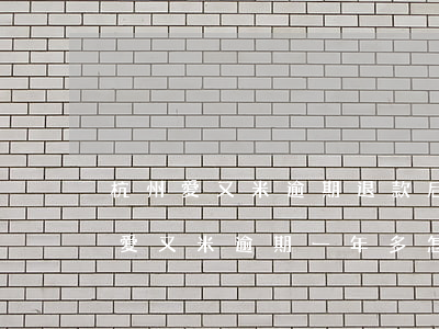 杭州愛又米逾期退款后會銷賬嗎-2021愛又米逾期一年多怎么辦