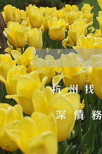 杭州找口碑好的債權債務律師費用-杭州資深債務律師 杭州找口碑好的債權債務律師費用-杭州資深債務律師