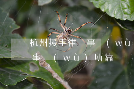 杭州援手律師事務(wù)所(杭州援手律師事務(wù)所靠譜嗎)