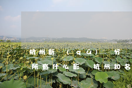 杭州新區(qū)劃分對律師事務(wù)所有什么影響(杭州知名律師所)