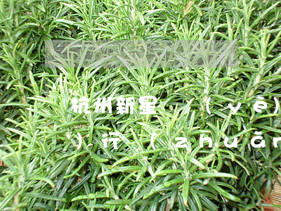 杭州新星實業(yè)有限公司執(zhí)行轉(zhuǎn)破產(chǎn)清算案
