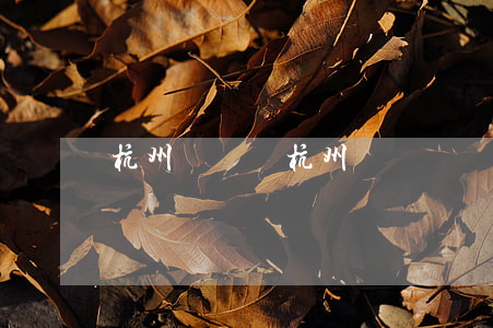 杭州會計證(杭州會計證報考條件)