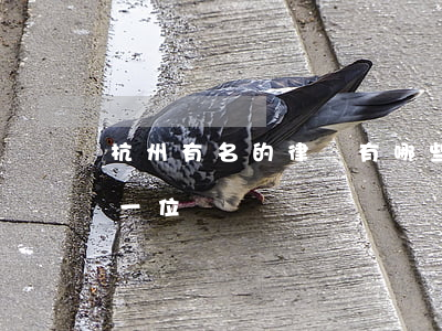 杭州有名的律師有哪些(杭州最好的律師是哪一位?)