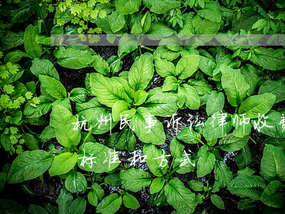 杭州民事诉讼律师收费标准(杭州市律师收费标准和方式)