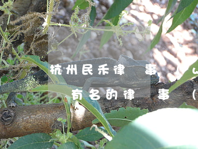 杭州民禾律師事務(wù)所怎么樣(杭州比較有名的律師事務(wù)所)
