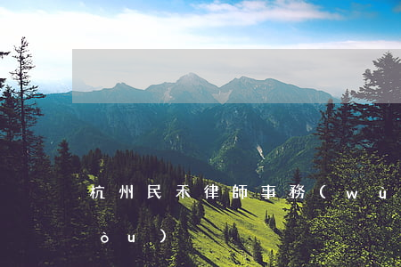 杭州民禾律師事務(wù)所組織架構(gòu)