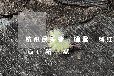 杭州民禾律師周君紅(浙江允道律師事務(wù)所葉斌)