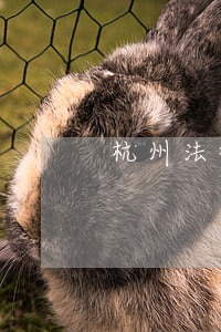 杭州法律顾问(杭州法律顾问吴越)