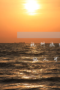 杭州法院拍卖房子可以落户吗(杭州法拍房外地人可以落户籍)