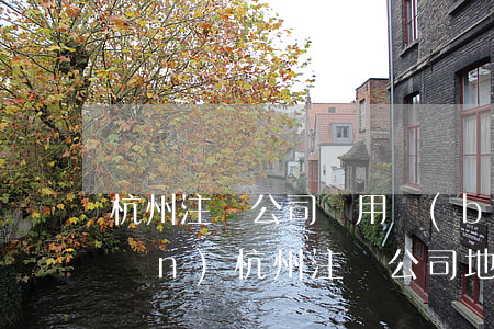 杭州注冊公司費用標(biāo)準(zhǔn)(杭州注冊公司地址費用)