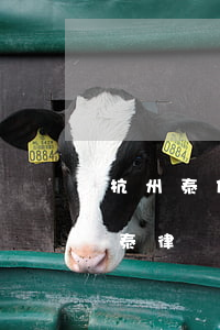 杭州泰仁律師事務(wù)所怎么樣(杭州銀泰律師事務(wù)所)