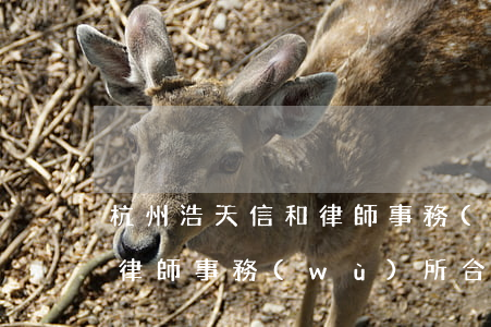 杭州浩天信和律師事務(wù)所(浩天信和律師事務(wù)所合伙人)