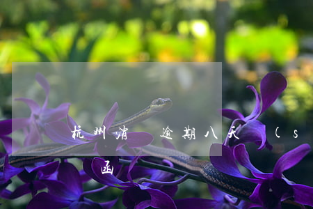 杭州消銀逾期八天說(shuō)要第我律師函