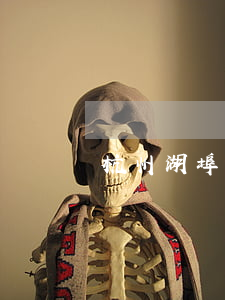 杭州湖埠村律師(杭州湖埠村律師)