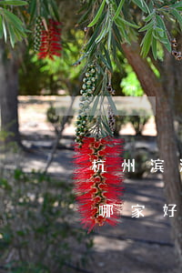 杭州滨江律师事务所哪个好(滨海律师事务所哪家好)