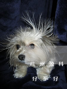 杭州盈科律師事務所怎么樣(上海盈科律師所好不好)