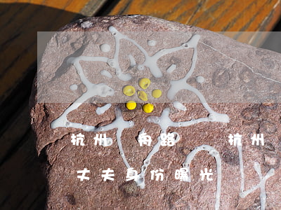 杭州競舟路車禍(杭州競舟路車禍女司機和她丈夫身份曝光)
