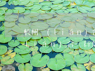 杭州聯(lián)合信用卡利息(杭州聯(lián)合銀行信用貸利率)