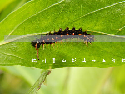 杭州萧山拆迁办（上海杭州萧山拆迁安置逾期）