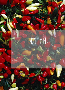 杭州許錢偉律師(杭州錢志震律師)