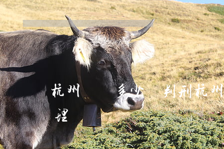 杭州詐騙多少夠判刑(杭州詐騙多少錢可以受理)