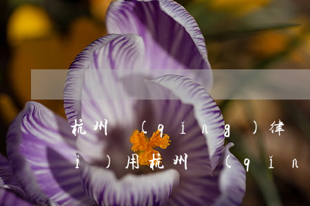 杭州請(qǐng)律師一般多少費(fèi)用(杭州請(qǐng)律師一般多少費(fèi)用4000元)