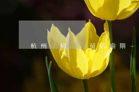 杭州購房搖號征信逾期-杭州搖號征信報告