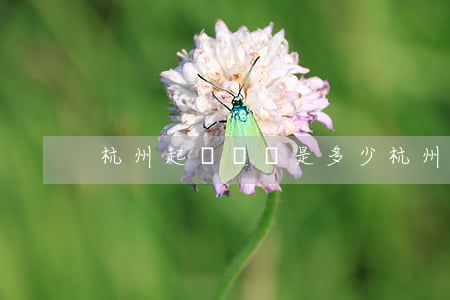 杭州起訴電話是多少（杭州在哪去起訴欠錢）