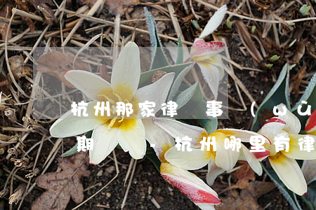 杭州那家律師事務(wù)所辦理信用卡逾期問題-杭州哪里有律師事務(wù)所