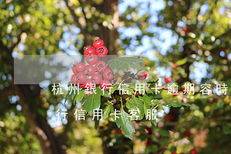 杭州銀行信用卡逾期容時(shí)(杭州銀行信用卡客服)