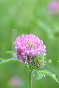 杭州银行信用卡逾期一天有影响吗-杭州银行信用卡逾期一天有影响吗知乎