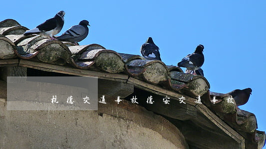 杭德交通事故(德安交通事故)